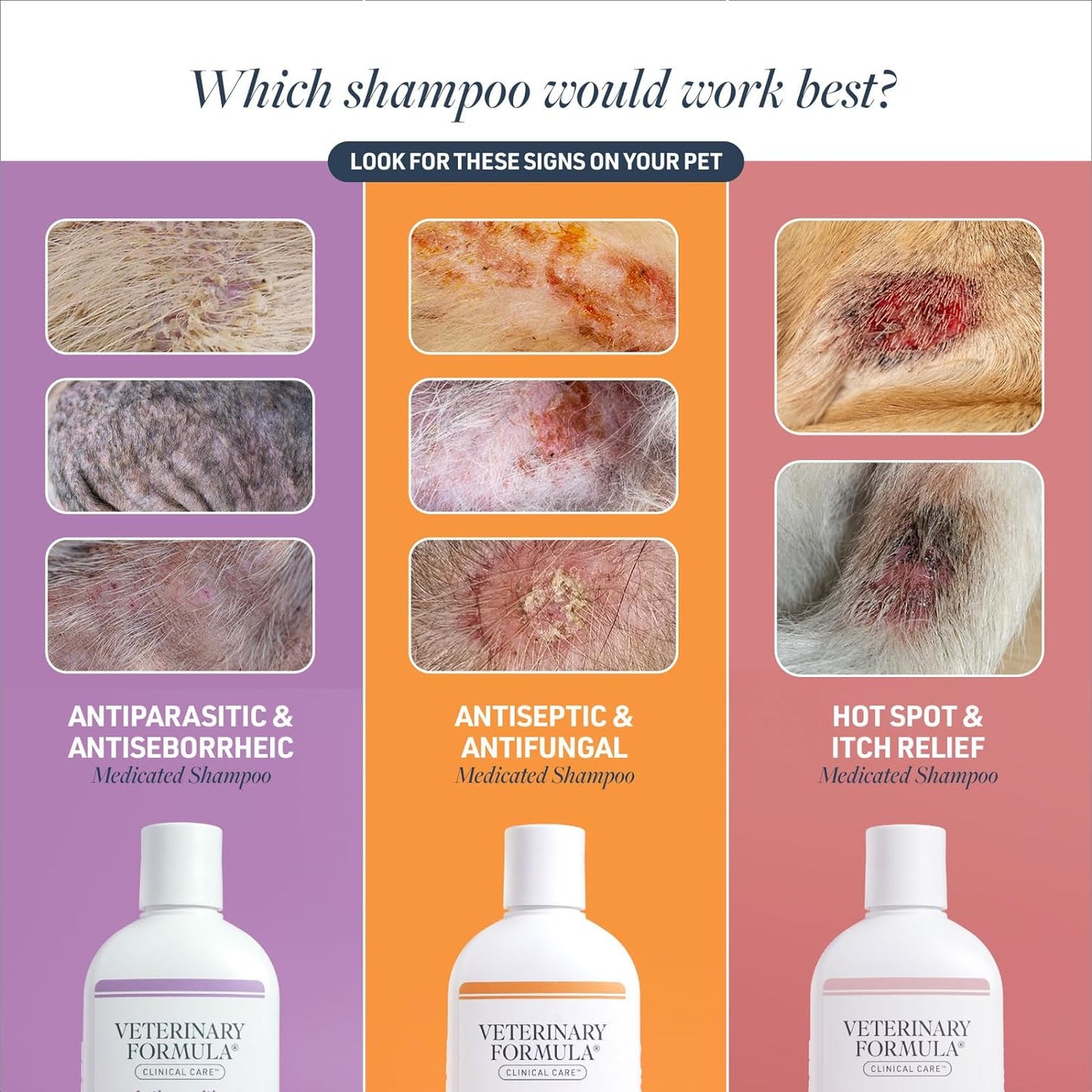 Clinical Care Medicated Antiseptic and Antifungal Shampoo for Dogs and Cats, 16 Fl Oz – Alleviates Scaly, Greasy, Red Skin – Paraben, Dye, and Soap-Free (1 Pack)