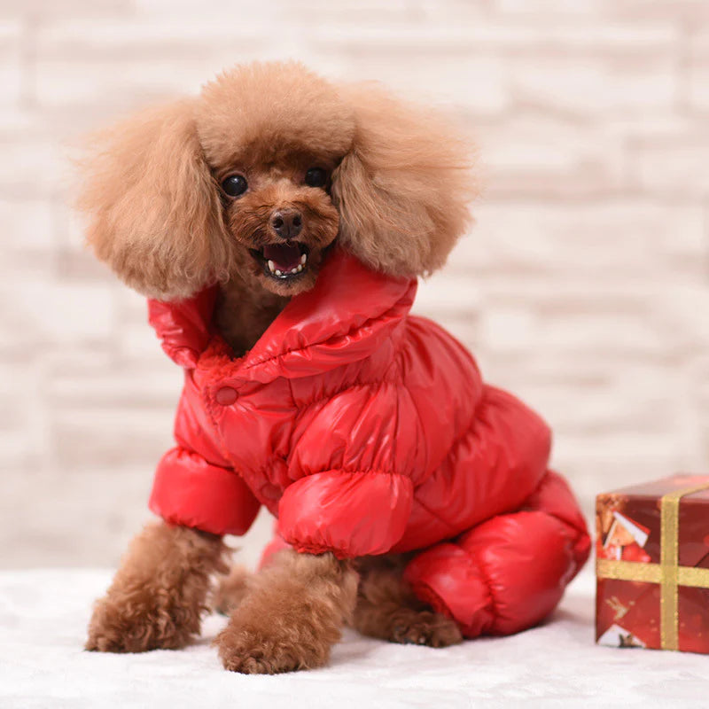 Winter Padded Dog Jacket - Windproof and Waterproof Pet Outerwear