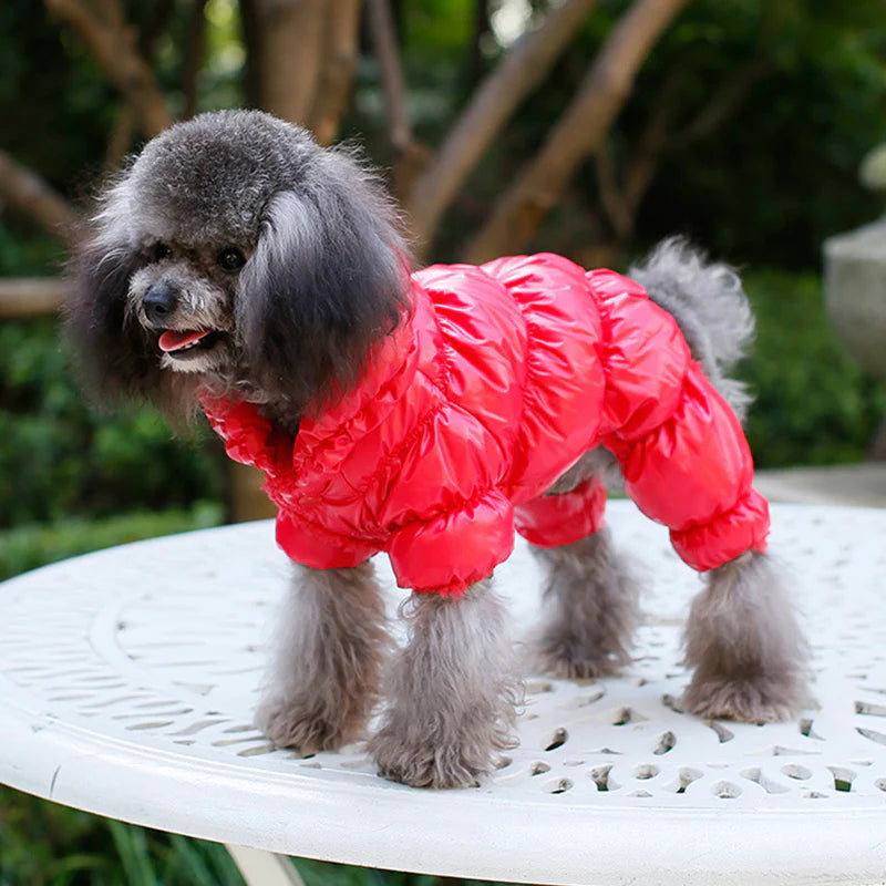 Winter Padded Dog Jacket - Windproof and Waterproof Pet Outerwear
