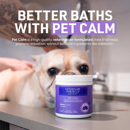 Clinical Care Medicated Antiseptic and Antifungal Shampoo for Dogs and Cats, 16 Fl Oz – Alleviates Scaly, Greasy, Red Skin – Paraben, Dye, and Soap-Free (1 Pack)