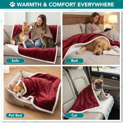 Premium Reversible Fleece Dog Blanket for Small to Medium Pets, Soft Sherpa Throw for Couch and Car Protection, Washable Mini Size 29x40 in Maroon Red