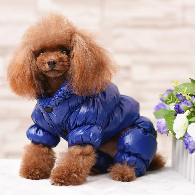 Winter Padded Dog Jacket - Windproof and Waterproof Pet Outerwear