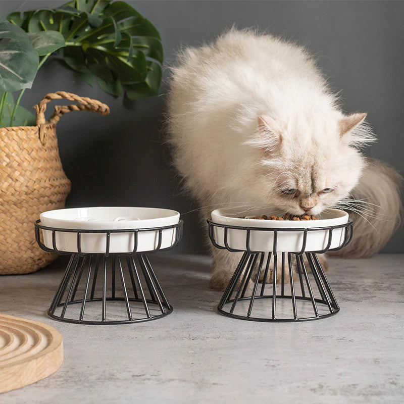 Lumière Decorative Bowl