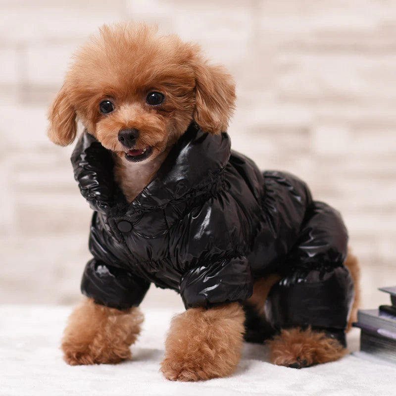 Winter Padded Dog Jacket - Windproof and Waterproof Pet Outerwear